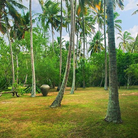 Lagoon House Rekawa Tangalle Dış mekan fotoğraf