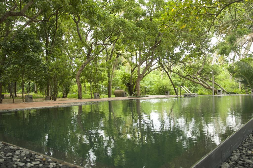 Lagoon House Rekawa Tangalle Dış mekan fotoğraf