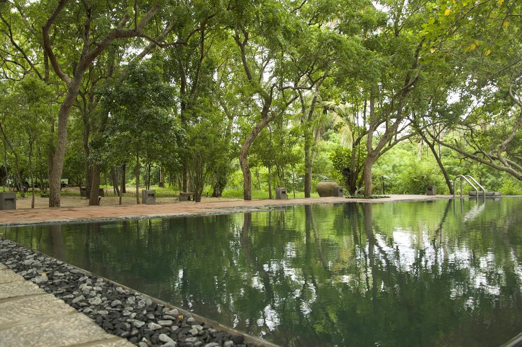 Lagoon House Rekawa Tangalle Dış mekan fotoğraf