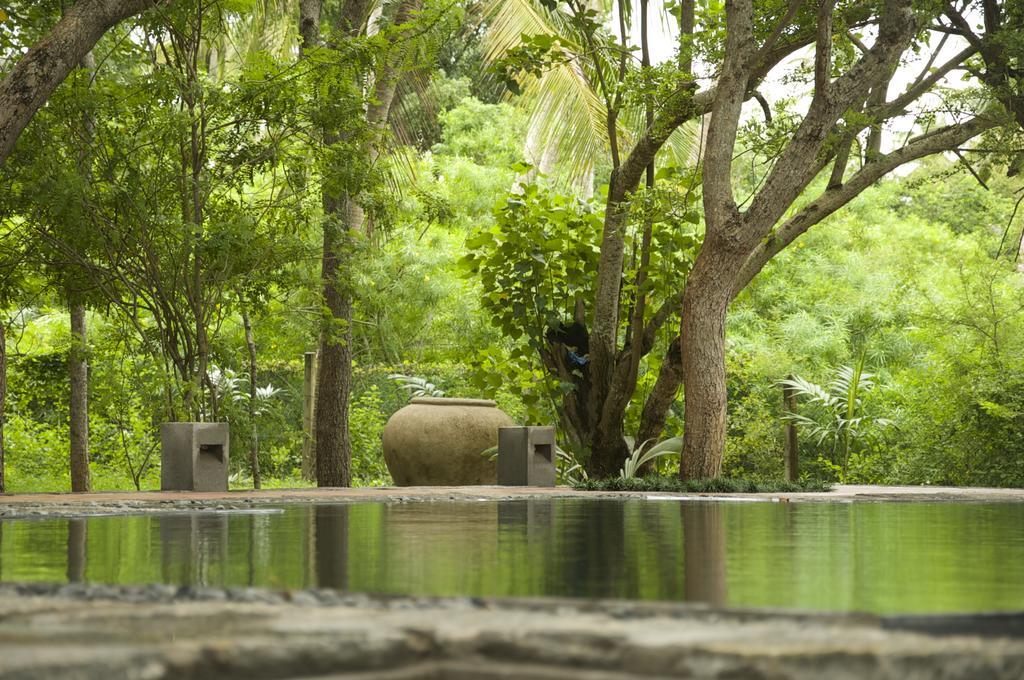 Lagoon House Rekawa Tangalle Dış mekan fotoğraf