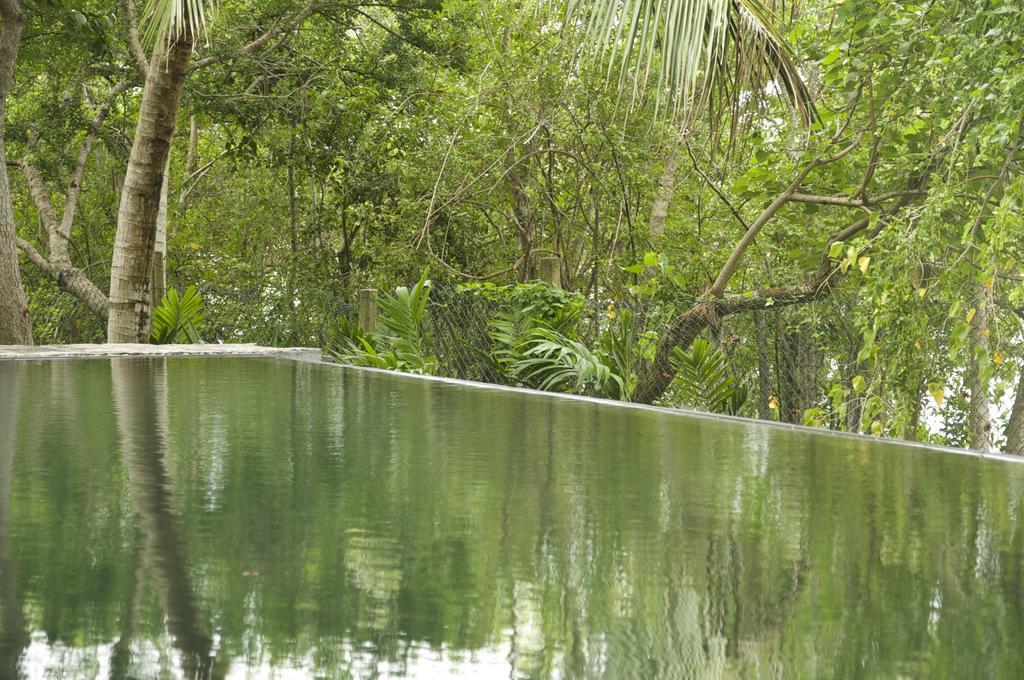 Lagoon House Rekawa Tangalle Dış mekan fotoğraf