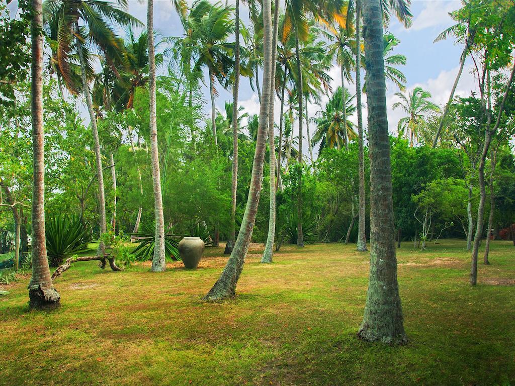 Lagoon House Rekawa Tangalle Dış mekan fotoğraf